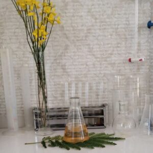 صابون سفید گری و نفوذ دهنده