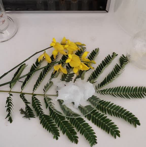 گریس سیلیکونی گریس سیلیکونی